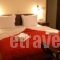 Zagori Philoxenia Hotel_best deals_Hotel_Epirus_Ioannina_Papiggo