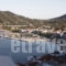 Irene House_best prices_in_Room_Sporades Islands_Skopelos_Skopelos Chora