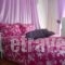 AthensColorful Urban Home_best prices_in_Room_Central Greece_Attica_Athens