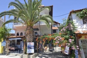 Aldebaran_lowest prices_in_Hotel_Aegean Islands_Thasos_Potos