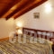 Lily's Apartments_travel_packages_in_Ionian Islands_Paxi_Gaios