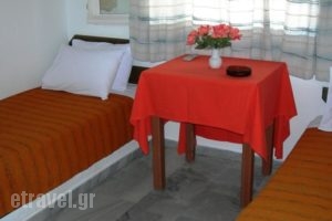 Aegeon Pension_best deals_Hotel_Cyclades Islands_Paros_Parasporos