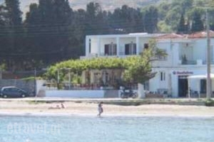 Stella_accommodation_in_Apartment_Cyclades Islands_Andros_Andros Chora