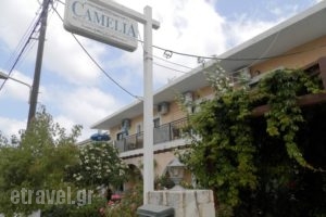 Camelia_holidays_in_Apartment_Crete_Chania_Stalos