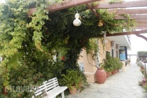 Camelia_accommodation_in_Apartment_Crete_Chania_Stalos