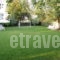 Chroma Studios_travel_packages_in_Central Greece_Evia_Edipsos