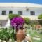 Evi Apartments And Studios_travel_packages_in_Dodekanessos Islands_Rhodes_Theologos