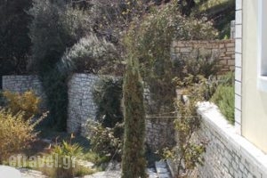 Villa Maro_best prices_in_Villa_Ionian Islands_Corfu_Aghios Stefanos
