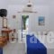 Scorpio Studios & Apartments_lowest prices_in_Room_Cyclades Islands_Paros_Naousa