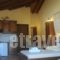 Erifili at Sarti Beach Apartments & Studios_best prices_in_Apartment_Macedonia_Halkidiki_Toroni