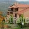Archontiko Christodoulou_best deals_Hotel_Epirus_Arta_Arta City