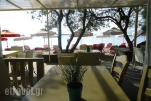 Eviana Beach ex Perigiali_travel_packages_in_Central Greece_Evia_Eretria