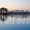 Europa Beach Hotel_holidays_in_Hotel_Crete_Heraklion_Hani Kokkini