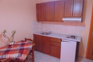 Bayside Apartments_accommodation_in_Apartment_Ionian Islands_Lefkada_Vasiliki