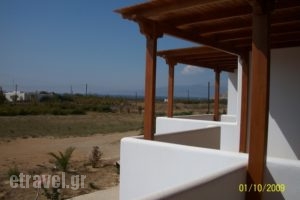Joanna's Apartments_best prices_in_Apartment_Cyclades Islands_Naxos_Naxos Chora