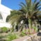 Flora_best prices_in_Hotel_Cyclades Islands_Paros_Paros Chora