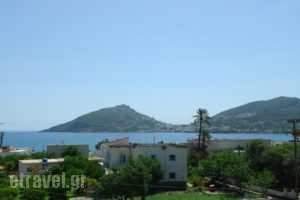 Irene Hotel_holidays_in_Hotel_Dodekanessos Islands_Leros_Leros Chora