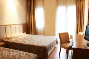 Hotel Alfa_best prices_in_Hotel_Macedonia_Pella_Edessa City