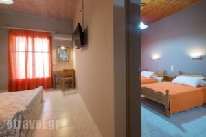 Katerina Rooms_holidays_in_Hotel_Ionian Islands_Zakinthos_Zakinthos Rest Areas