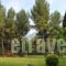 Ena_lowest prices_in_Hotel_Central Greece_Fthiotida_Loutra Ypatis