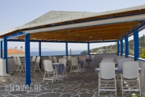 Blue Dolphin Studios And Apartment_travel_packages_in_Piraeus Islands - Trizonia_Aigina_Aigina Chora