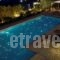Elafivolia Arachova Suites_holidays_in_Hotel_Central Greece_Viotia_Arachova