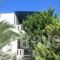 Vezuvio_lowest prices_in_Room_Cyclades Islands_Ios_Ios Chora