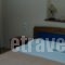 Ziakas Rooms_lowest prices_in_Room_Macedonia_Grevena_Perivolaki