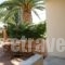 Elma'S Dream Apartments & Villas_lowest prices_in_Villa_Crete_Chania_Daratsos
