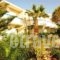 Villa Marie Kelly_accommodation_in_Villa_Crete_Heraklion_Gouves