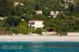 Christina Studios_accommodation_in_Room_Ionian Islands_Kefalonia_Kefalonia'st Areas