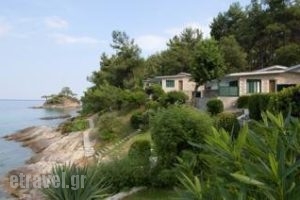 Roula_accommodation_in_Apartment_Aegean Islands_Thasos_Kinyra