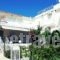 Alkioni Studios_travel_packages_in_Aegean Islands_Lesvos_Vatera
