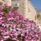 Viola Suites_lowest prices_in_Hotel_Crete_Chania_Sfakia