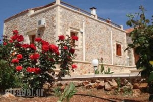 Viola Suites_accommodation_in_Hotel_Crete_Chania_Sfakia