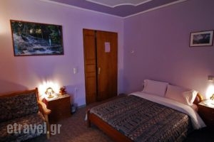 To Oneiro_accommodation_in_Hotel_Central Greece_Evritania_Karpenisi