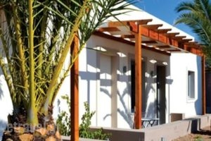 Xanthippi Hotelapart_best deals_Hotel_Piraeus Islands - Trizonia_Aigina_Aigina Rest Areas