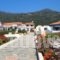 Pavlis Studios_lowest prices_in_Hotel_Aegean Islands_Samos_Kambos