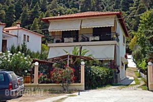 Villa Stella Apartments_accommodation_in_Villa_Macedonia_Halkidiki_Chalkidiki Area