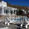 Manolia View_lowest prices_in_Room_Cyclades Islands_Mykonos_Tourlos