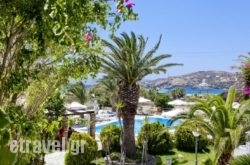 Dionysos Seaside Resort hollidays