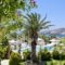 Dionysos Seaside Resort_accommodation_in_Hotel_Cyclades Islands_Ios_Ios Chora