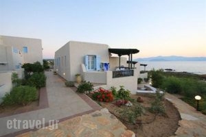 Pirgos Stelida_best prices_in_Apartment_Cyclades Islands_Naxos_Stelida