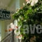 Kostis_best prices_in_Hotel_Sporades Islands_Skiathos_Skiathos Chora