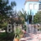 Defkalion_holidays_in_Apartment_Aegean Islands_Lesvos_Petra