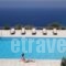 Mira Resort Maisonettes_lowest prices_in_Hotel_Ionian Islands_Lefkada_Lefkada Chora