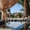 Villa Olga_best deals_Villa_Ionian Islands_Lefkada_Kariotes