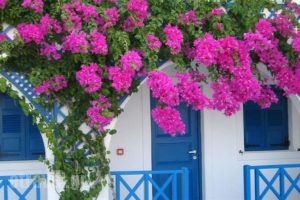 Margarenia_accommodation_in_Apartment_Cyclades Islands_Sandorini_Sandorini Chora