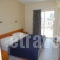 Jasmine_best prices_in_Apartment_Dodekanessos Islands_Kos_Kos Chora