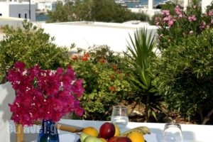 Ariti Apartments_best prices_in_Apartment_Cyclades Islands_Paros_Naousa